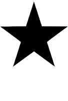 Black five-point star on a white background, centered.